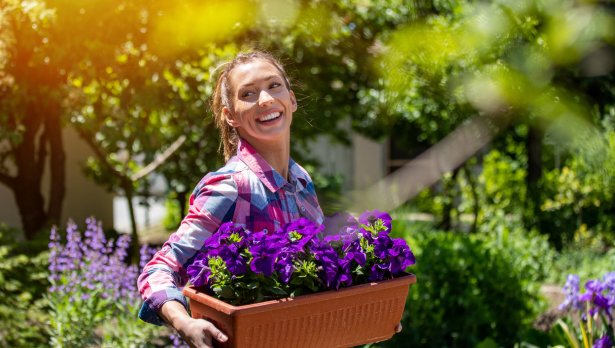 Снимка: iStock