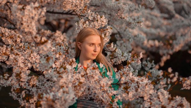 Снимка: Borabelle *, Pexels