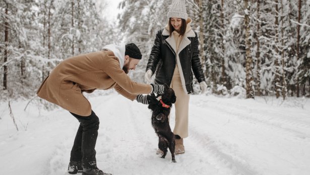 Снимка: Pavel Danilyuk, Pexels