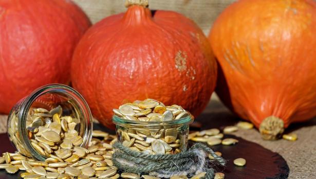 Снимка: Pixabay