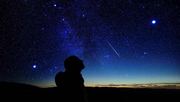 Снимка: Istock