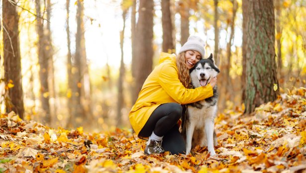 Снимка: iStock