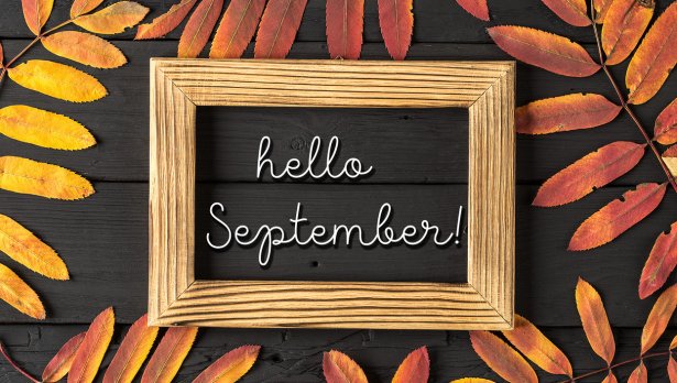 Снимка: iStock