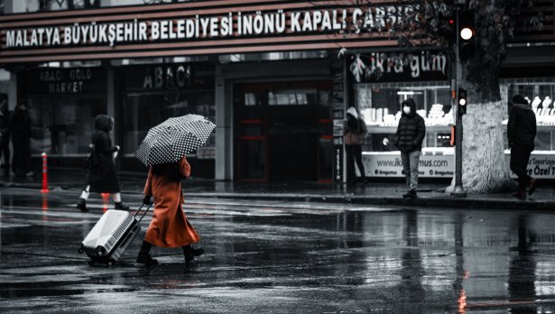 Снимка: Emrah Yazıcıoğlu, Pexels