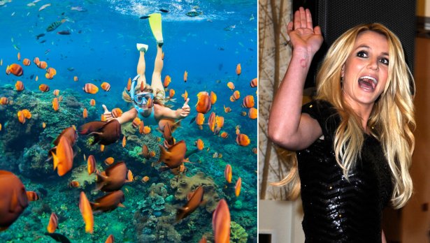 IStockphoto/БГНЕС