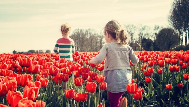 Снимка: Pexels