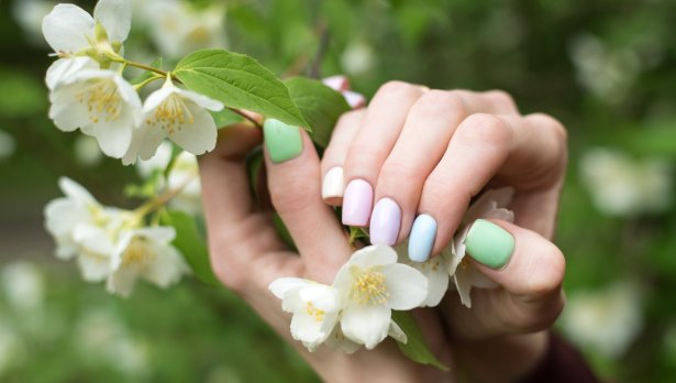 Снимка: iStock