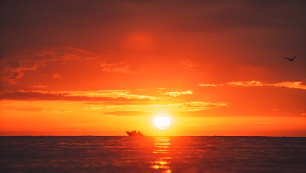 Снимка: Istock