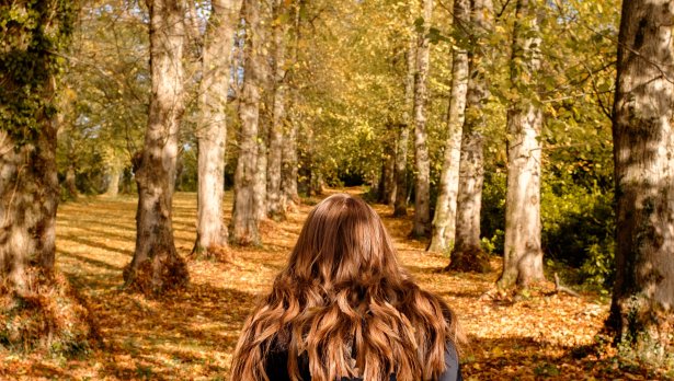 Снимка: Grant Elliott, Unsplash