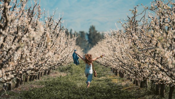 Снимка: Taryn Elliott, Pexels