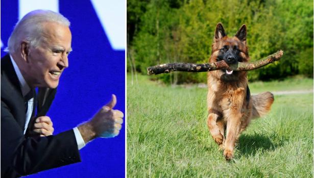 БГНЕС/IStockphoto