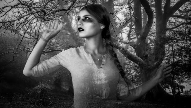 Снимка: Pixabay