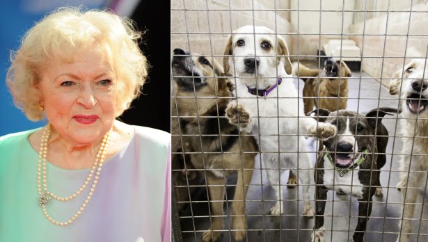 БГНЕС/IStockphoto