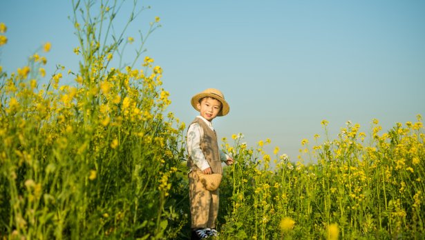 Снимка: iStock