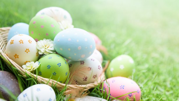 Снимка: iStock