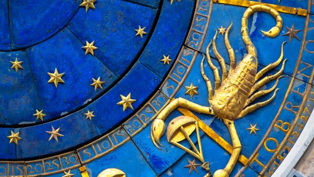 Снимка: IstockPhoto