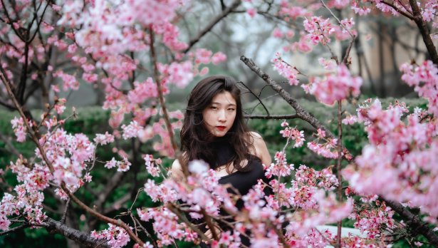 Снимка: Red Heart, Pexels