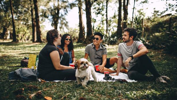 Снимка: Pexels