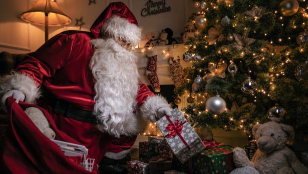 Снимка: iStock