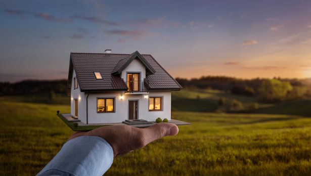 Снимка: Istock