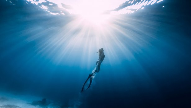 Снимка: iStock