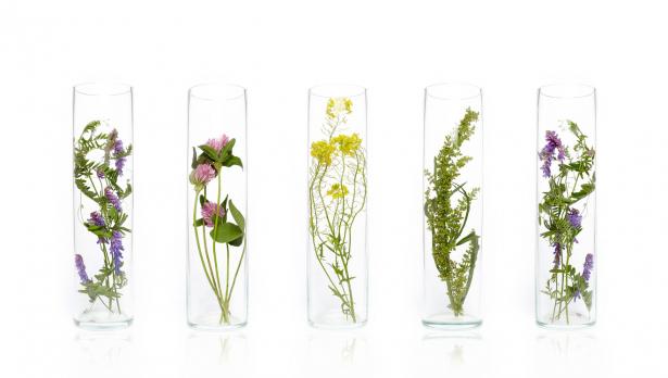 Снимка: Istockphoto