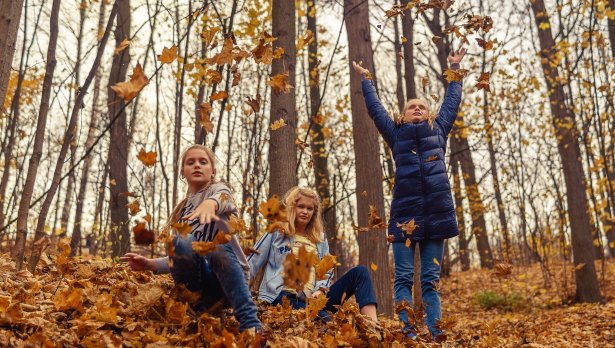 Снимка: Vitolda Klein, Unsplash