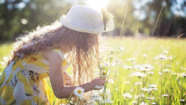 Снимка: Pexels