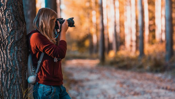 Снимка: David Bartus, Pexels