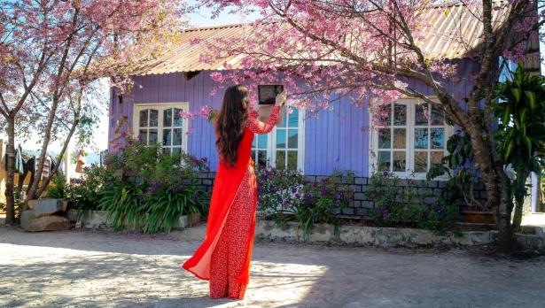 Снимка: Pixabay