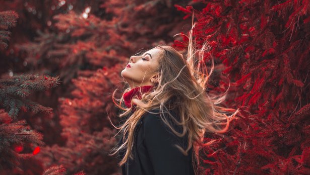 Снимка: Pixabay