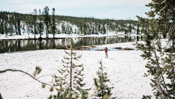 Снимка: Pexels