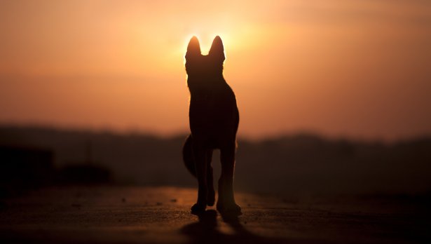 Снимка: iStock