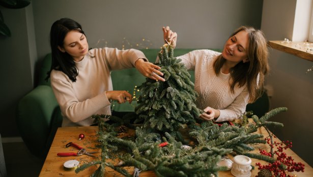 Снимка: iStock