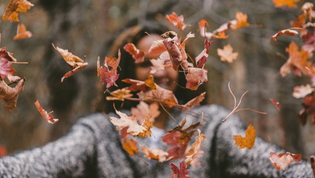 Снимка: Jakob Owens, Unsplash