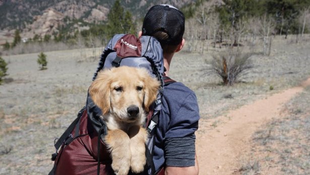 Снимка: Pexels