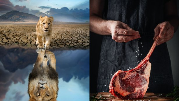 Снимки: iStock