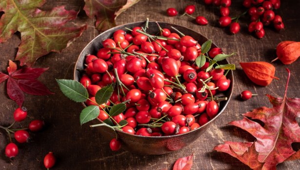 Снимка: iStock