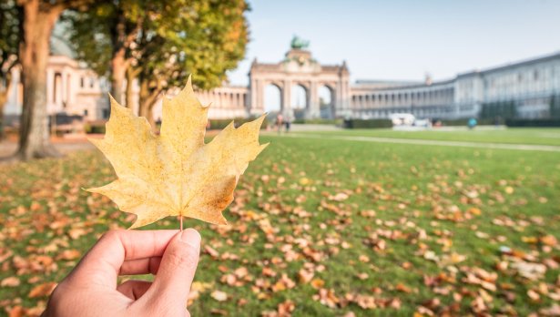 Снимка: Istock