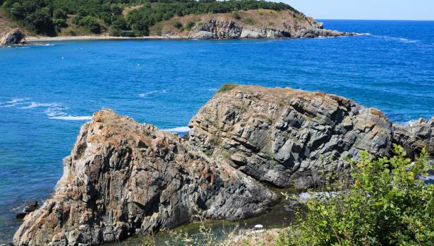 Снимка: iStock