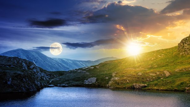 Снимка: Istock