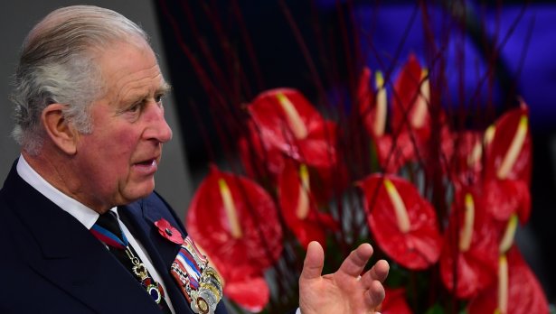 Снимки: БГНЕС