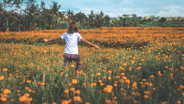 Снимка: Pexels