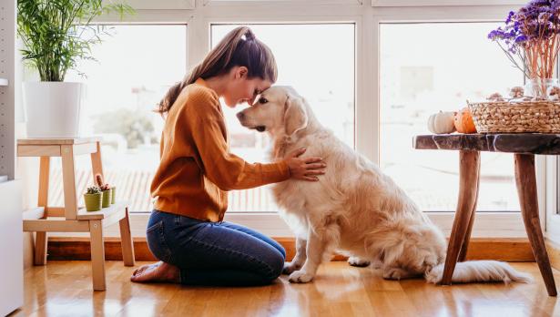 IStockphoto