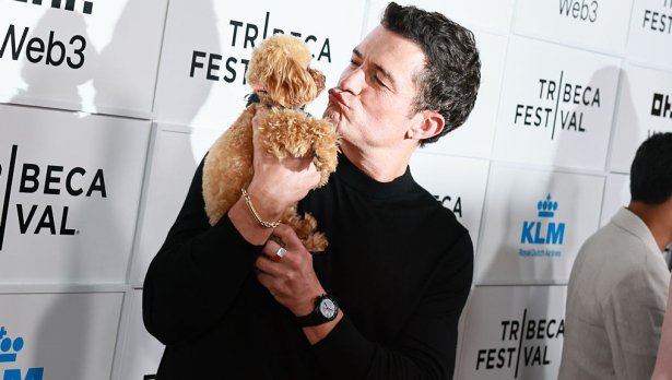 Снимка: Getty Images