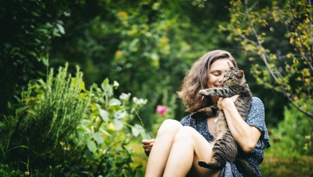 Снимка: Istock