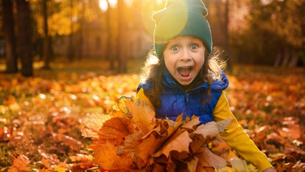 Снимка: iStock