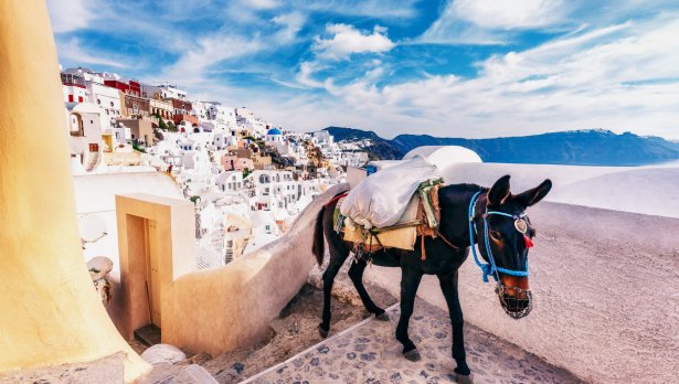 Снимка: IStock