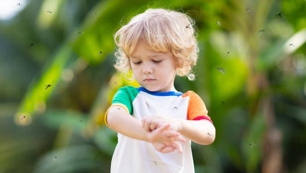 Снимка: iStock