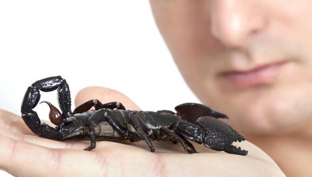 Снимка: Istock